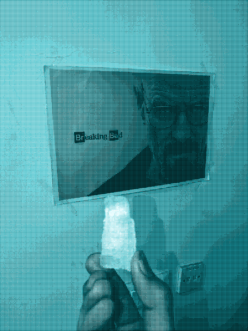 image.jpg
